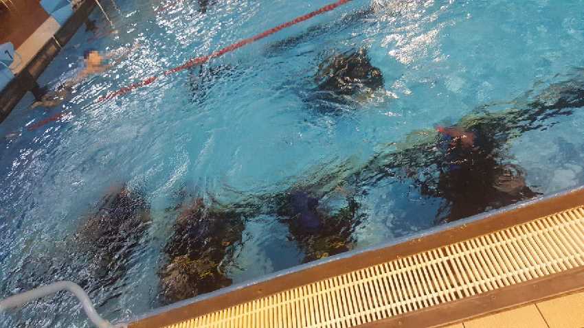 Első búvártanfolyam 2019-ben