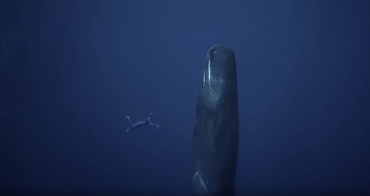 Egy lélegzettel a világ körül