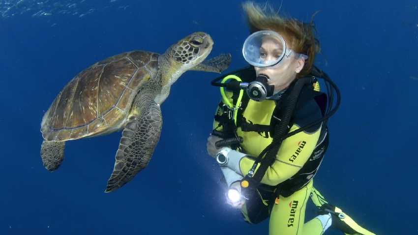 Magyarok a víz alatti fotós és videós világbajnokságon