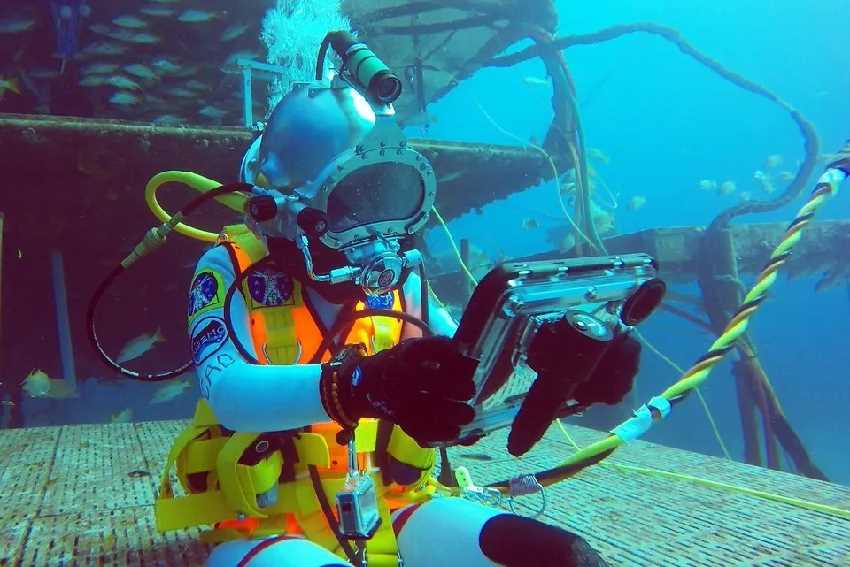 Ördögrájákkal kezdte, ma már a NASA-val dolgozik a magyar tengerbiológus