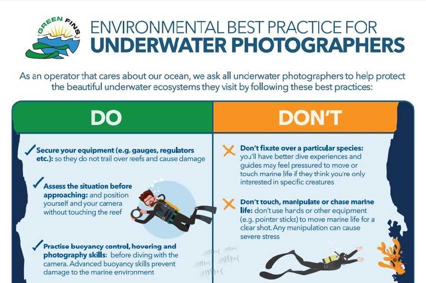 Új nemzetközi irányelvek víz alatti fotósok számára