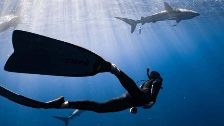 Bár nincsen tengerünk, mégis világszerte elismertek a magyar búvárok