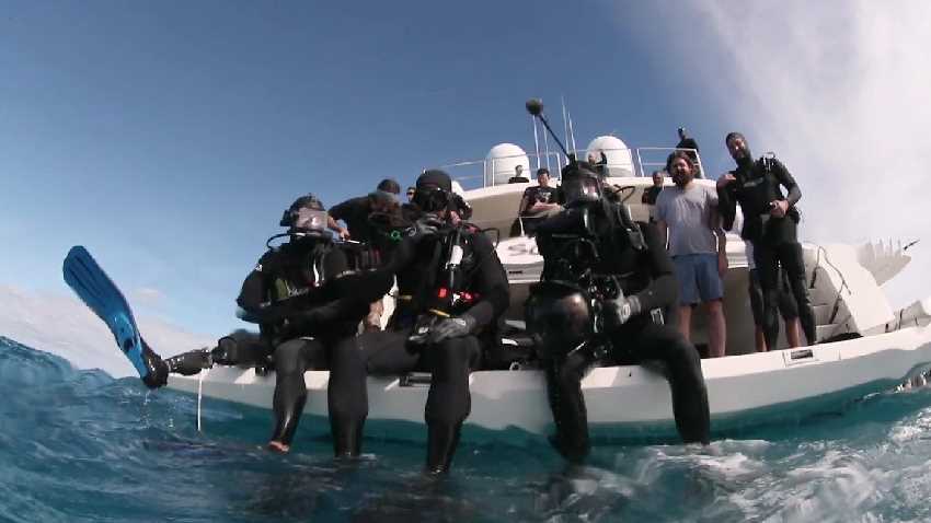 Will Smith cápás merülése