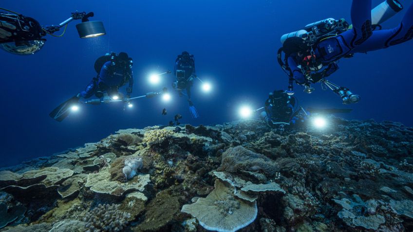 Hatalmas korallzátonyt találtak Tahiti közelében