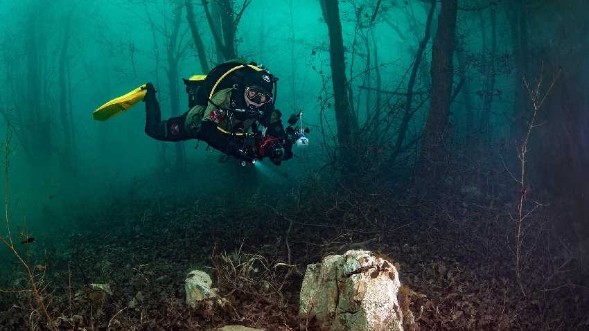 Merülés az erdő közepében