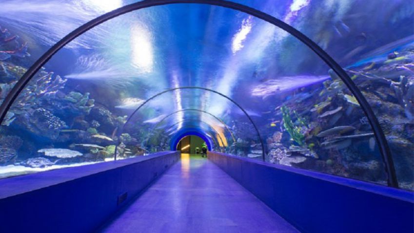 Víz alatti üvegalagút