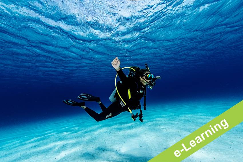 Open Water Diver course